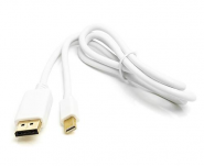 Kabelis mini DisplayPort - DisplayPort, 1m